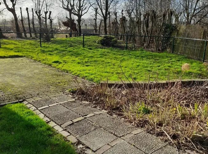 Gezellige Vakantie Woning Dichtbij Zee